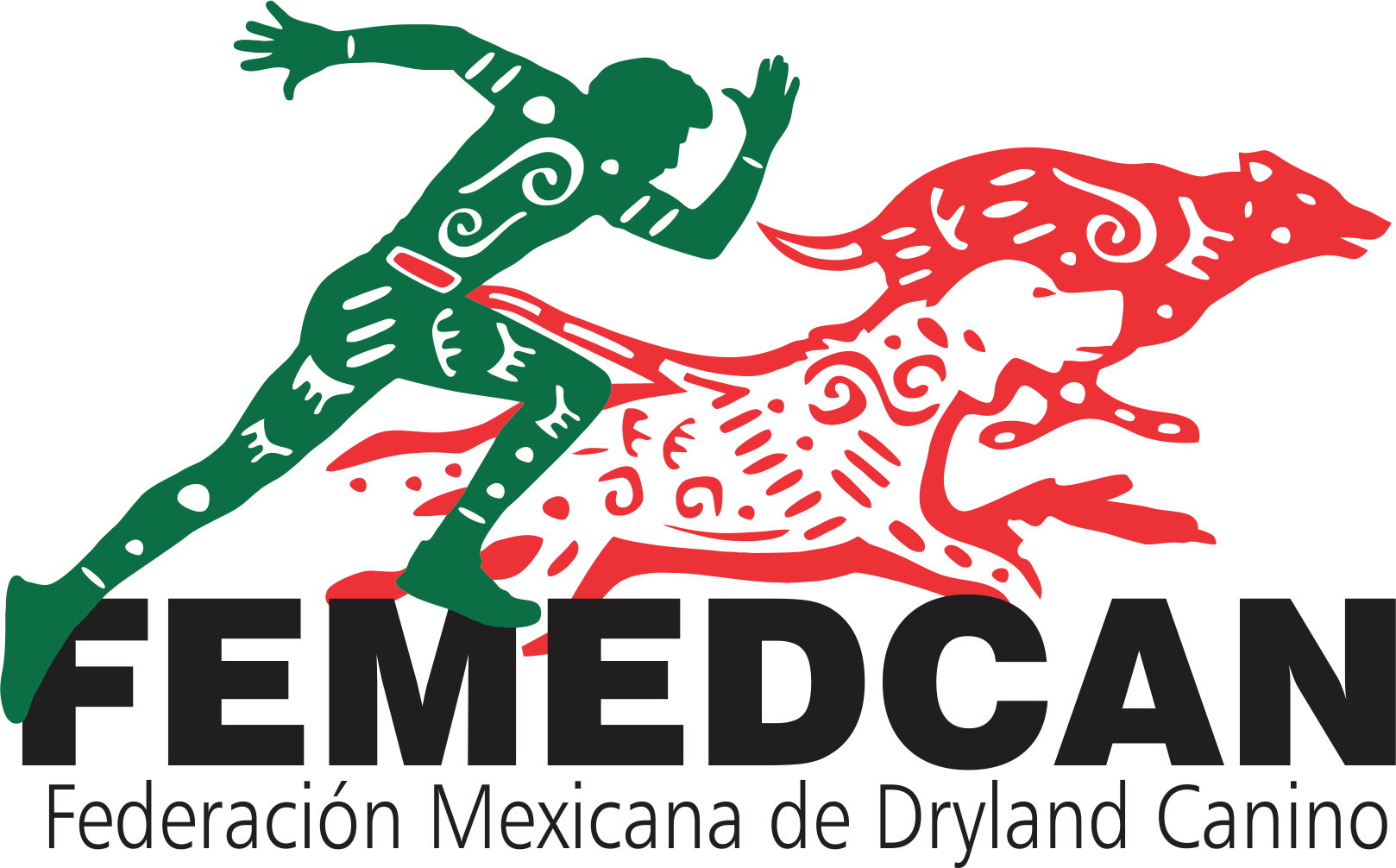 logo-femedcan-png